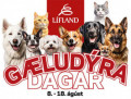 Gludradagar  Lflandi