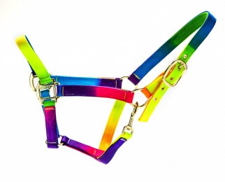 Halter rainbow colour