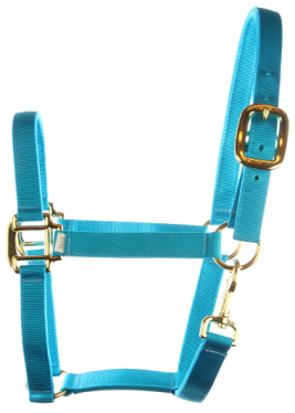 Nylon halter