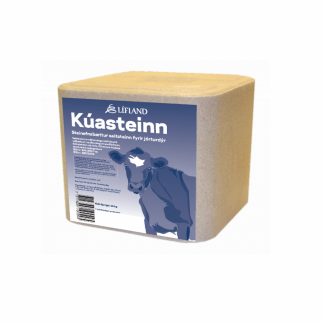 HM KÚASTEINN 10 kg