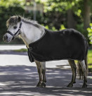 Foal rug fleece