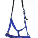 Top Reiter halter + lead rope