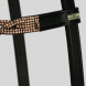 Top Reiter headstall FLTTA