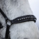 Top Reiter DIAMOND noseband 