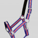 Top Reiter halter and lead rope